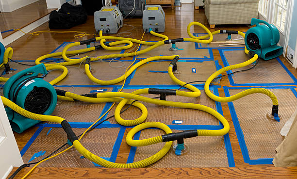 Professional Flood Damage Restoration technician working in Maple Park, IL